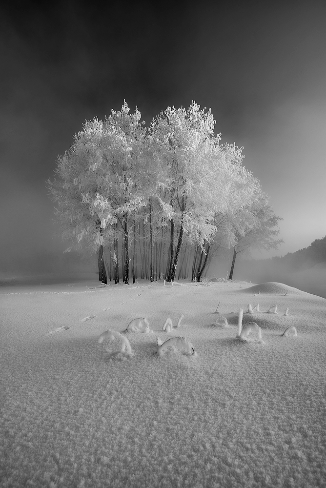 Zdjęcia Tatr i Pienin B W Fotografia Krzysztof Mierzejewski Pejzaże